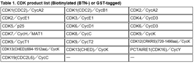  Table 1. CDK product list (Biotinylated (BTN-) or GST-tagged)