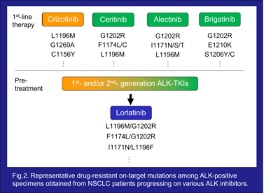Fig. 2 Representative drug-resistant on-target mutations among ALK-positive specimens obtained from NSCLC patients progressing on various ALK inhibitors